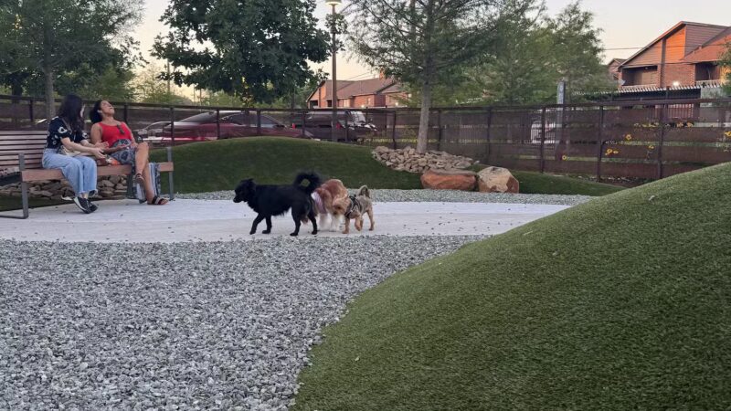 Camden Dog Park Westchase - Houston, TX