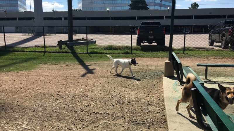Dog park - Houston, TX