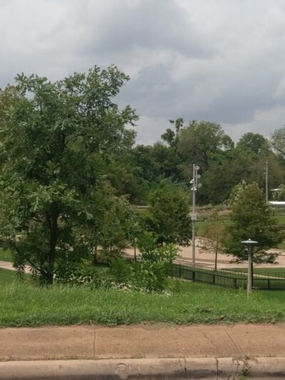 Dog Park - Houston, TX