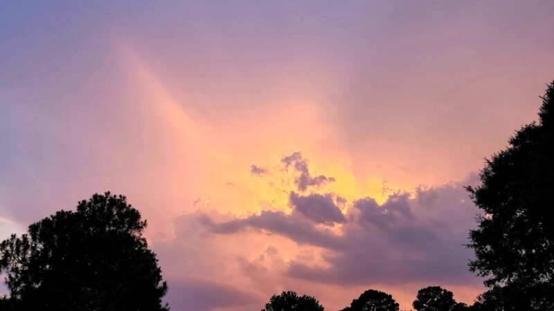 Hearthstone Park - Houston, TX