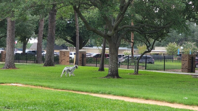 Hearthstone Park - Houston, TX