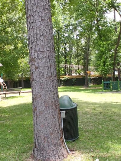 Hedwig Park - Houston, TX