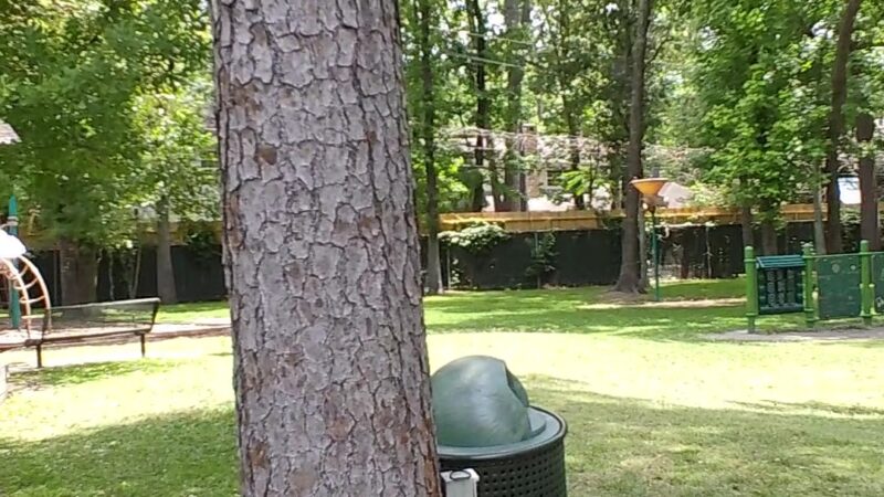 Hedwig Park - Houston, TX