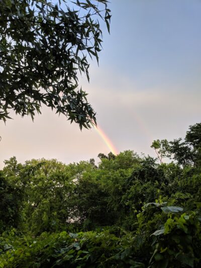Hedwig Park - Houston, TX