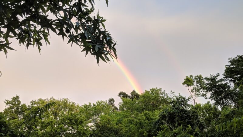 Hedwig Park - Houston, TX