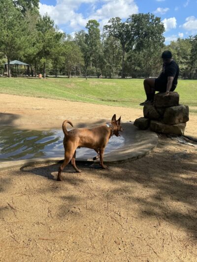 Lents Family Park West - Houston, TX