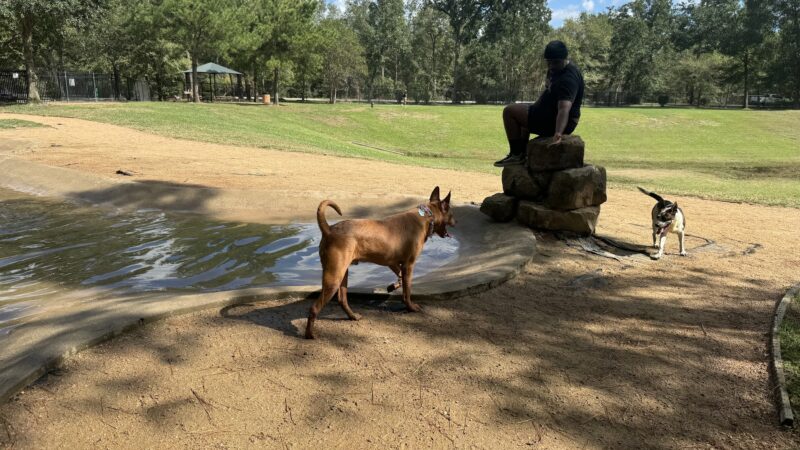 Lents Family Park West - Houston, TX