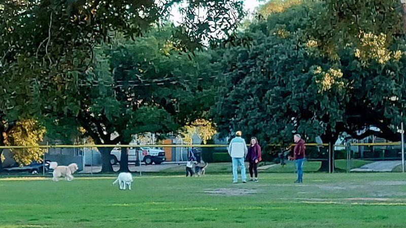 Linkwood Park - Houston, TX