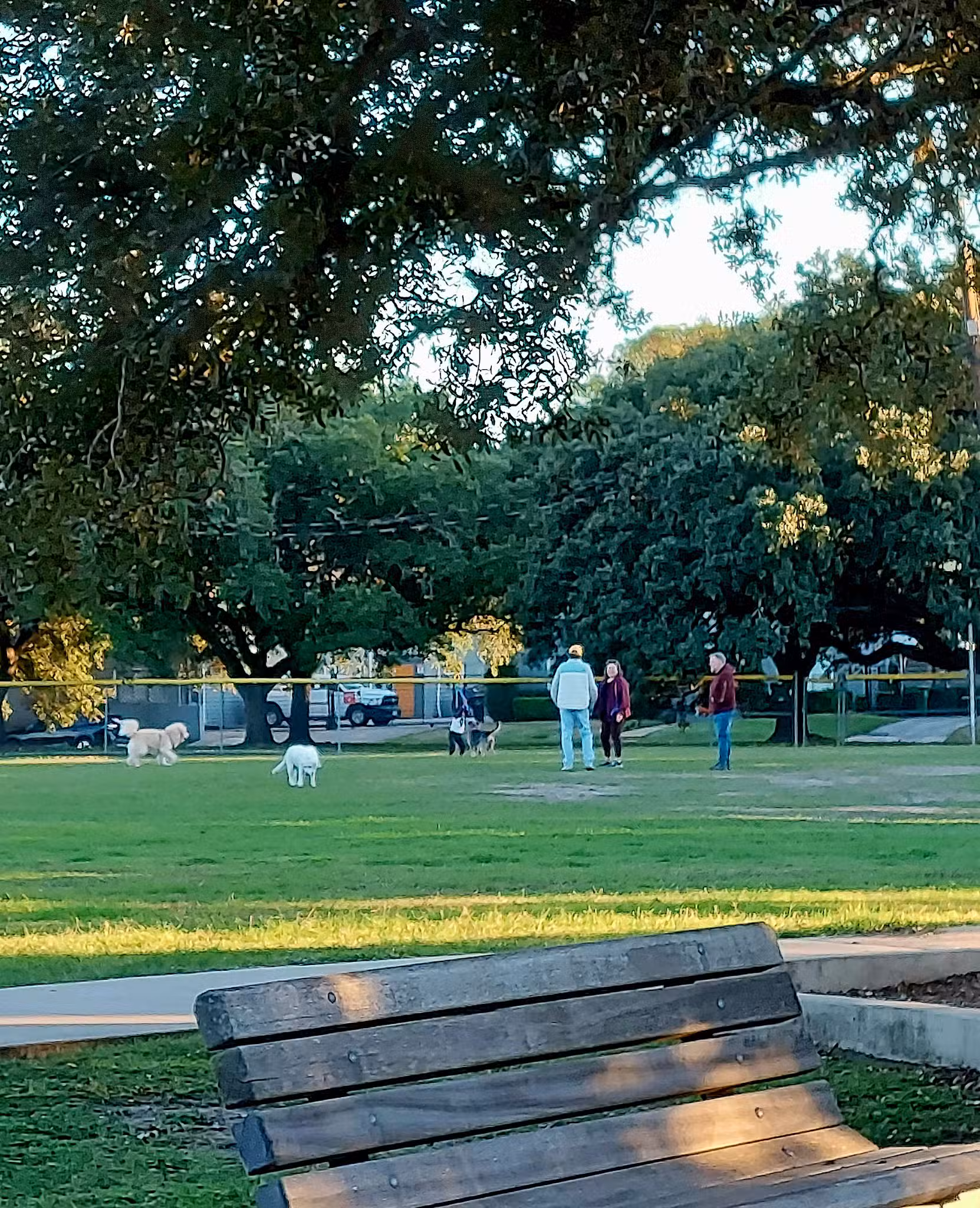 Linkwood Park - Houston, TX