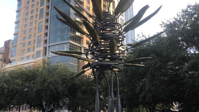 Market Square Dog Run - Houston, TX