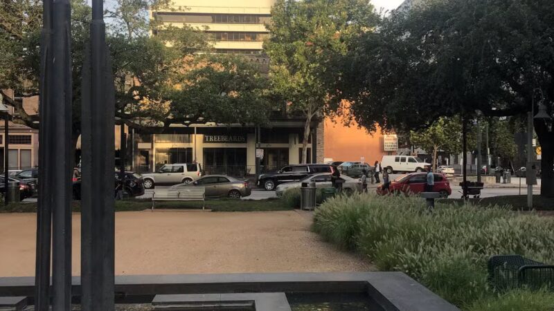 Market Square Dog Run - Houston, TX