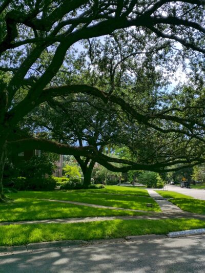 Old Braeswood Park - Houston, TX