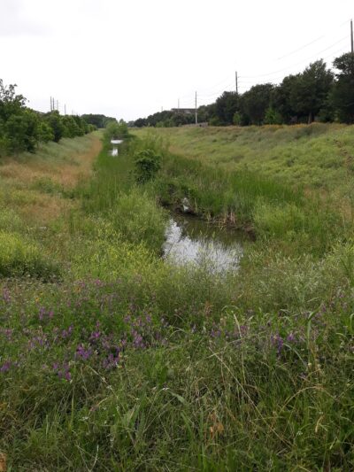 Oxford Pocket Park - Houston, TX