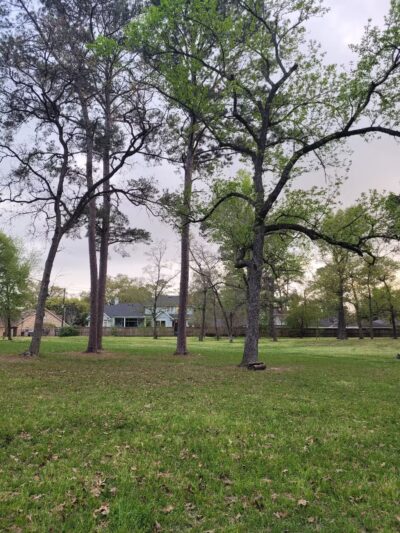 Shepherd Park - Houston, TX