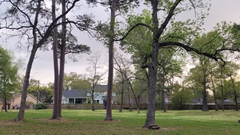 Shepherd Park - Houston, TX