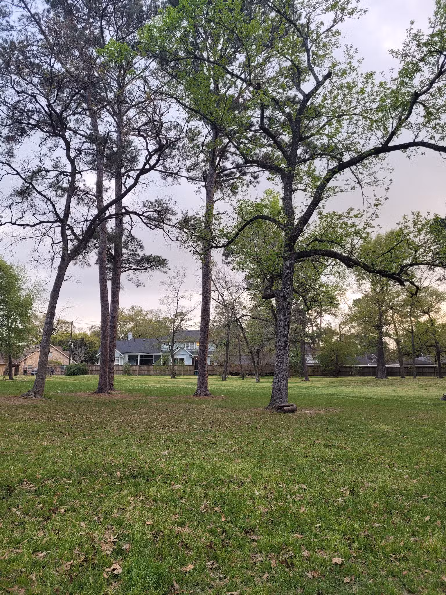 Shepherd Park - Houston, TX