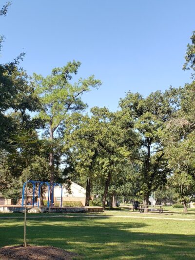 Shepherd Park - Houston, TX