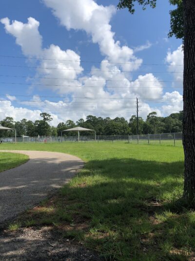Small Dog Park - Houston, TX