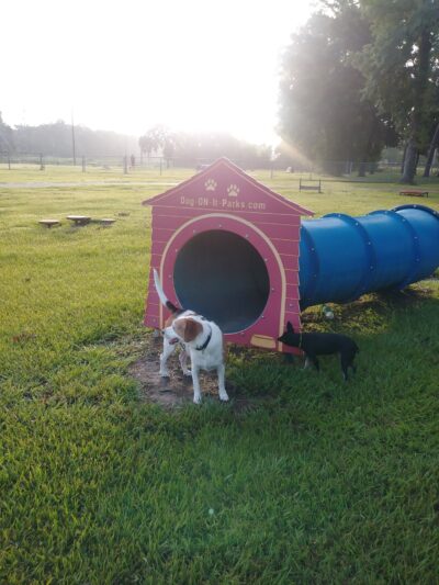Small Dog Park - Houston, TX