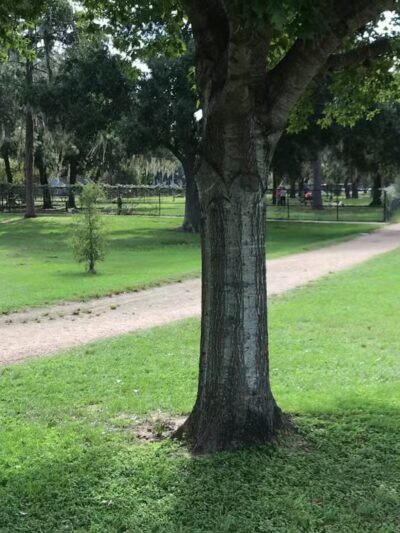 T.C.Jester Park - Houston, TX