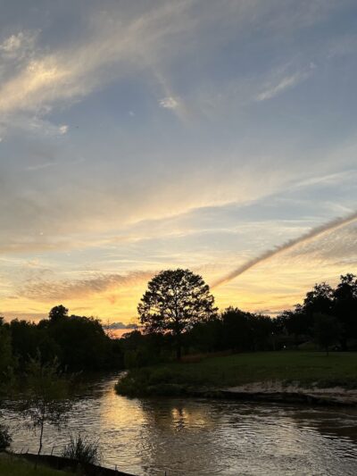 Tapley Tributary - Houston, TX