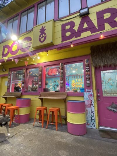 The Dog Bar - Houston, TX