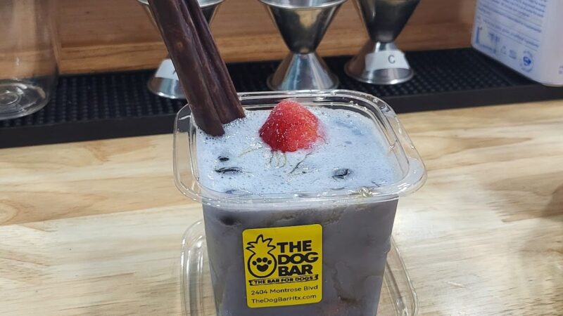 The Dog Bar - Houston, TX