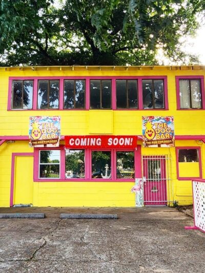 The Dog Bar - Houston, TX