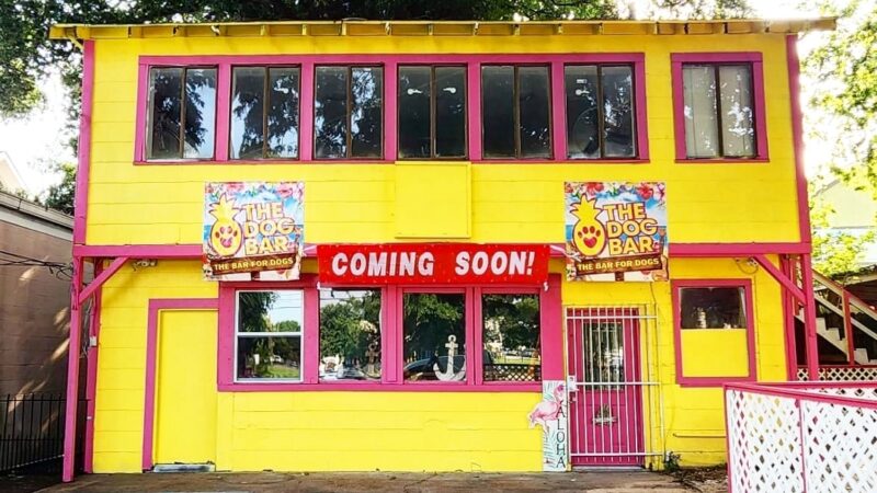 The Dog Bar - Houston, TX