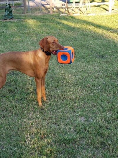 Wagner Park - Houston, TX