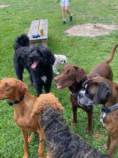 Wagner Park - Houston, TX