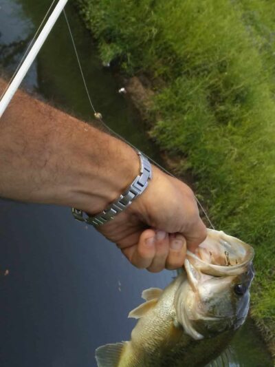 West Tidwell Park - Houston, TX