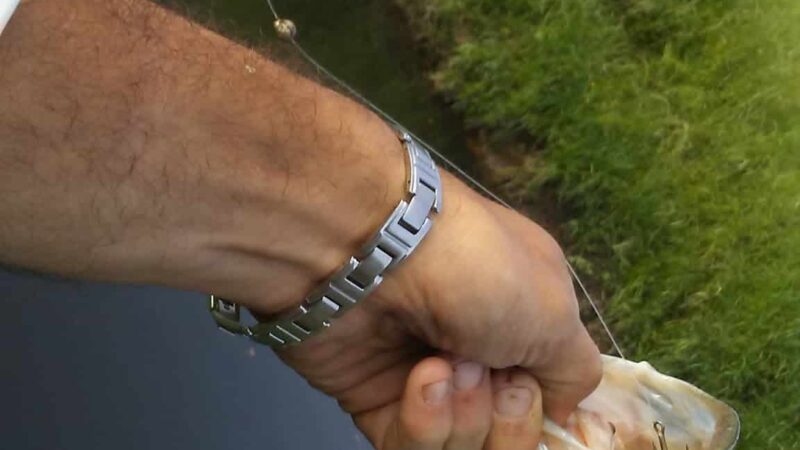 West Tidwell Park - Houston, TX