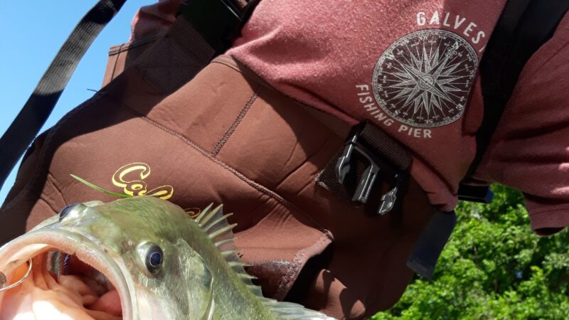 West Tidwell Park - Houston, TX