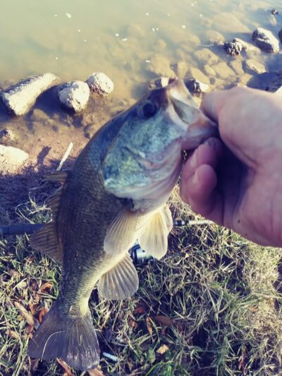 West Tidwell Park - Houston, TX