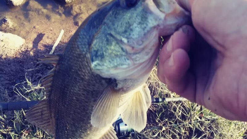 West Tidwell Park - Houston, TX