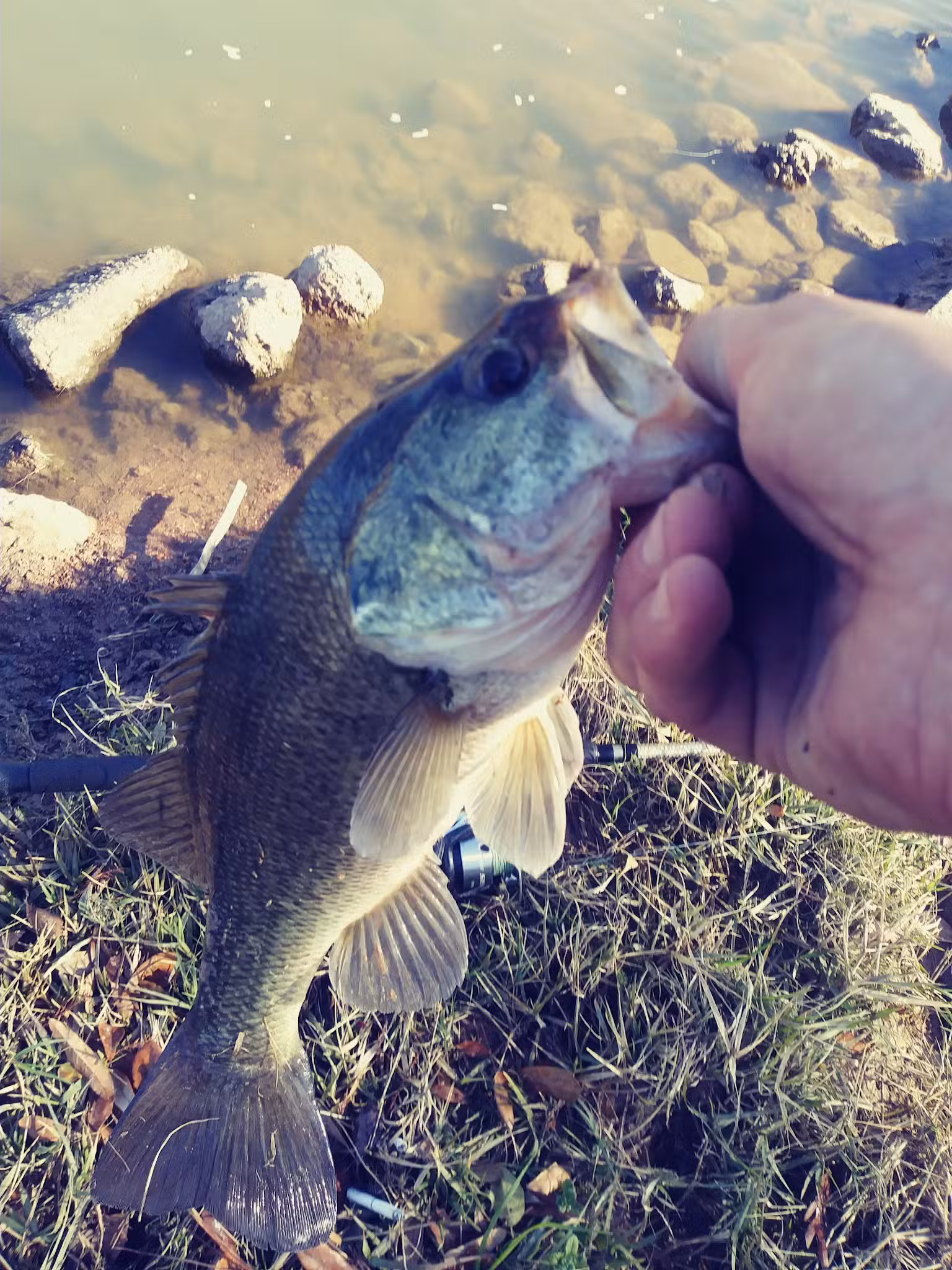 West Tidwell Park - Houston, TX