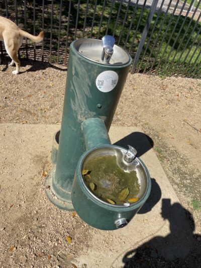 West Webster Dog Park - Houston, TX