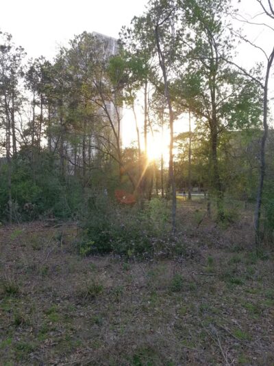 Wiess Park - Houston, TX