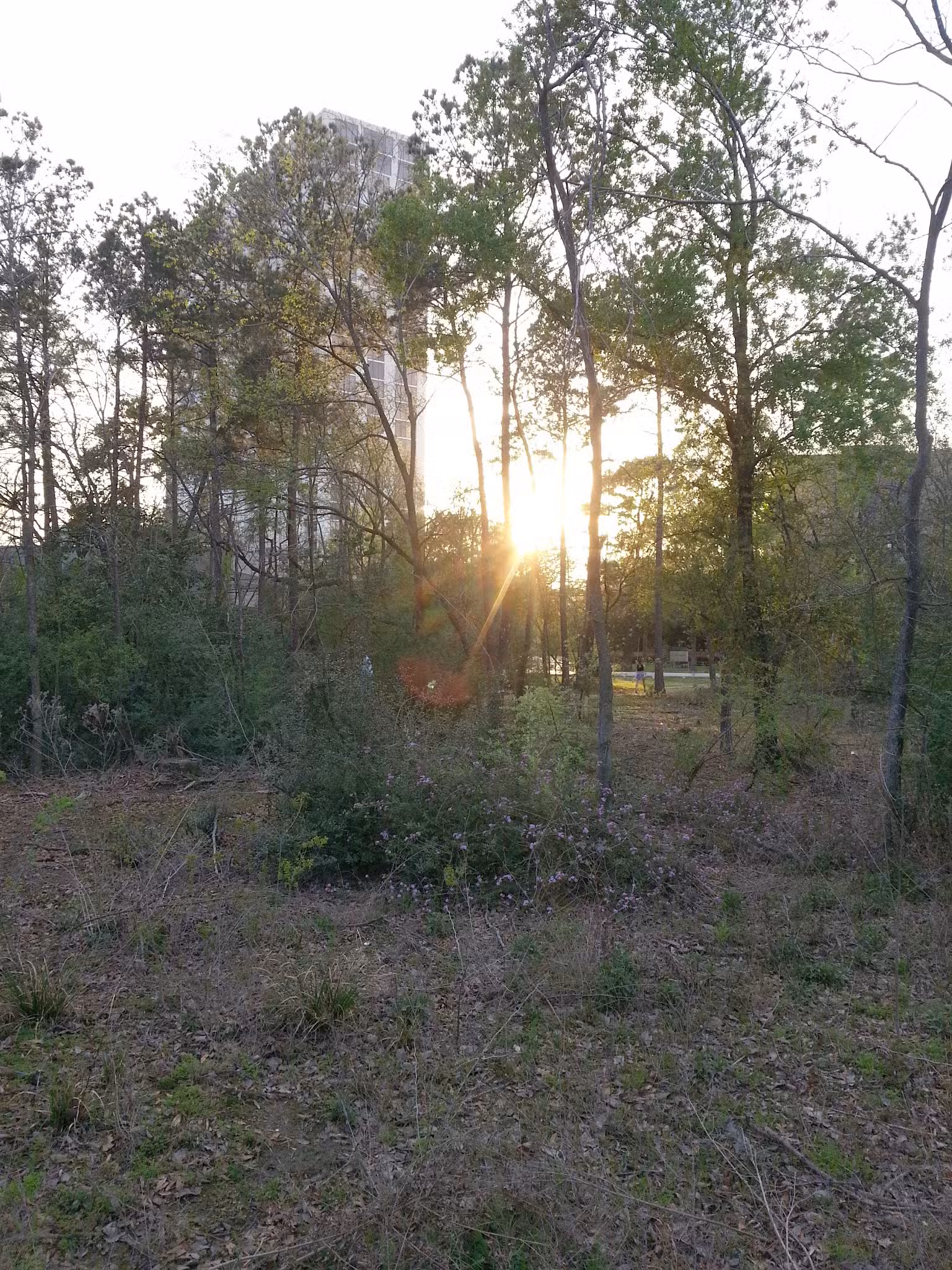 Wiess Park - Houston, TX