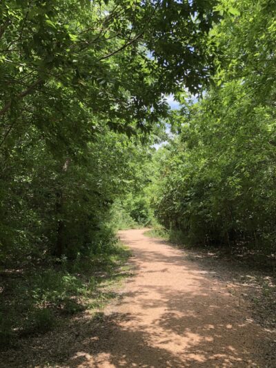 Wiess Park - Houston, TX