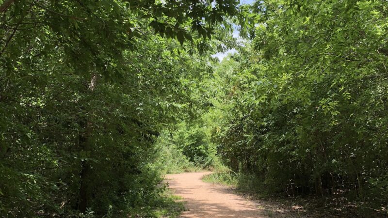 Wiess Park - Houston, TX