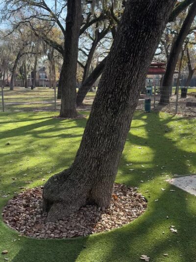 Woodlake Dog Park - Houston, TX