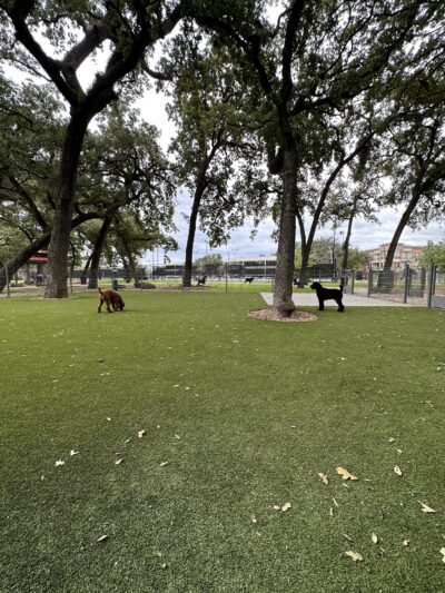 Woodlake Dog Park - Houston, TX