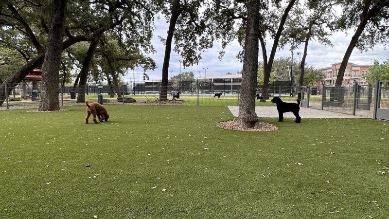 Woodlake Dog Park - Houston, TX