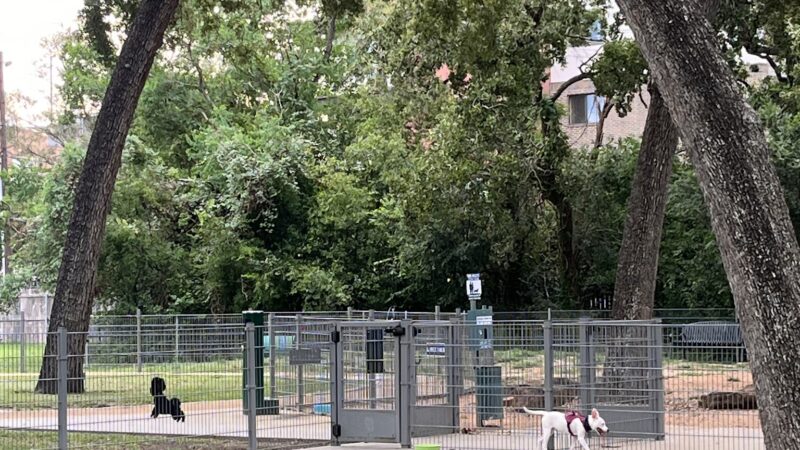 Woodlake Dog Park - Houston, TX