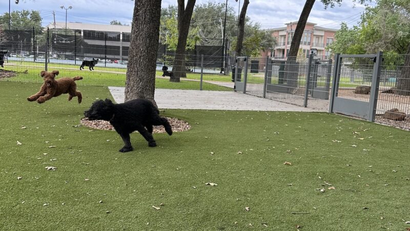 Woodlake Dog Park - Houston, TX
