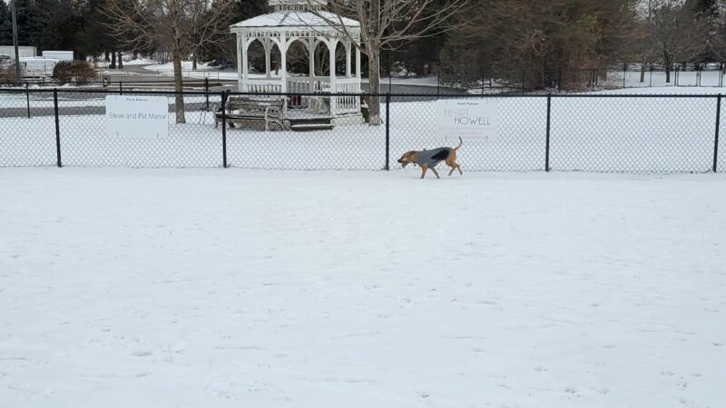Countryside Veterinary Dog Park - Howell, MI