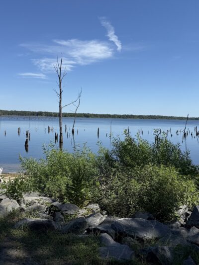 Manasquan Reservoir - Howell Township, NJ