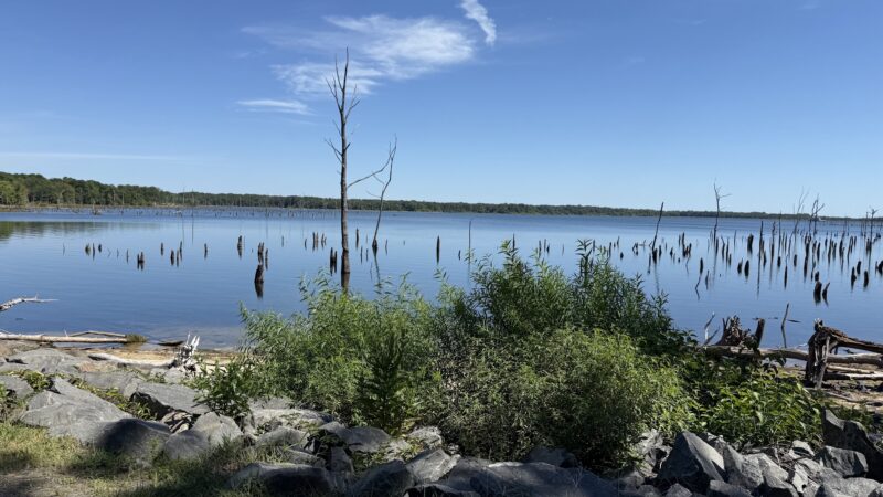 Manasquan Reservoir - Howell Township, NJ